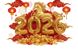 Поздравляем с Новым годом!!!!